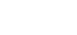 締めの逸品